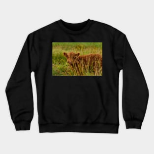 Highlander calf Crewneck Sweatshirt